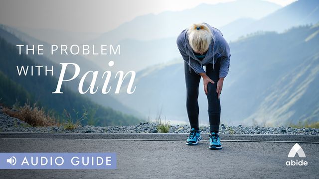 The Problem with Pain, by Seth Haines