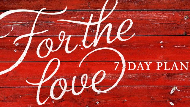 For the Love, by Jen Hatmaker